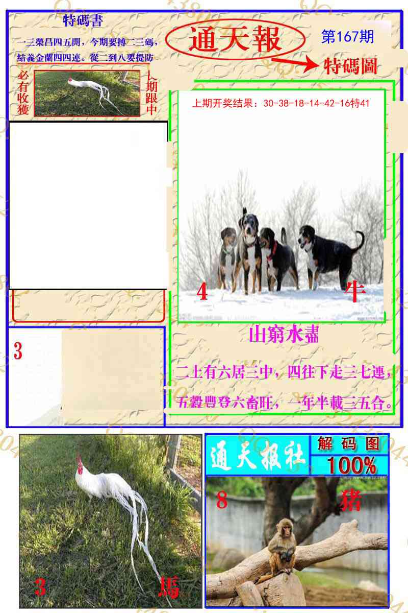 167期通天特解图[图]