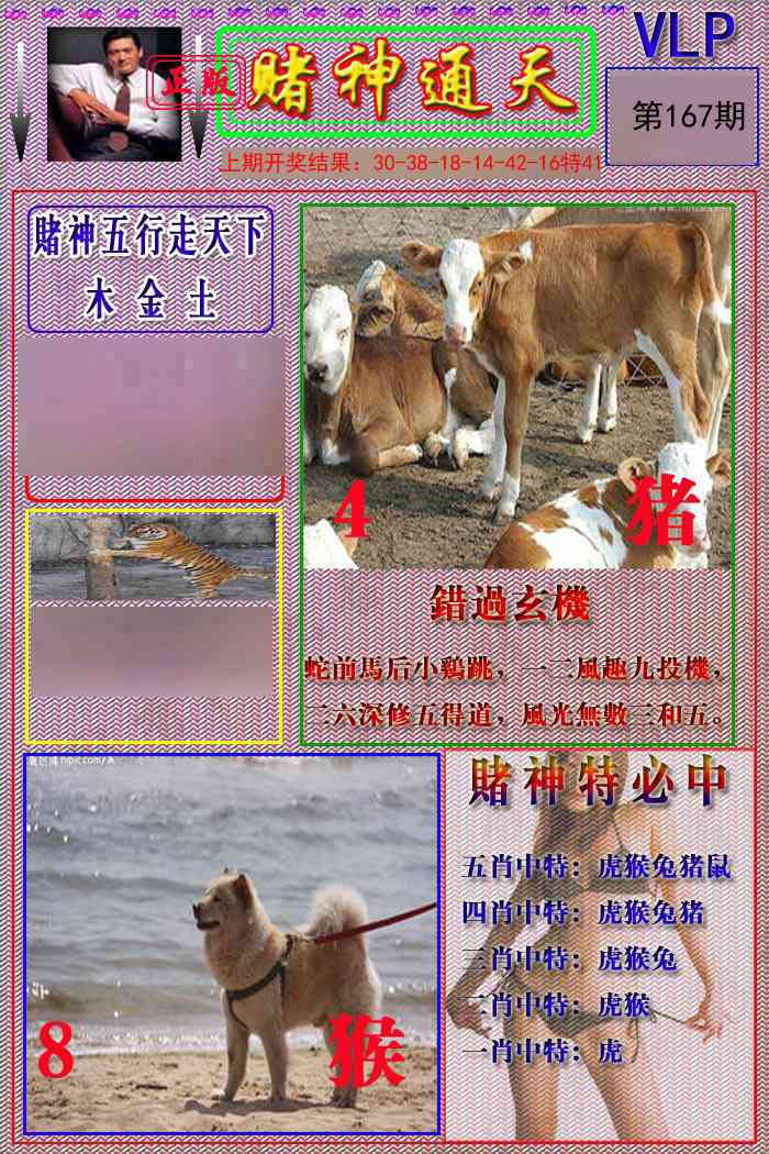 167期赌神通天报[图]
