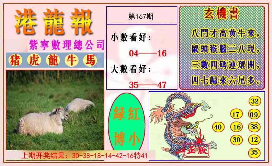 167期港龙报[图]