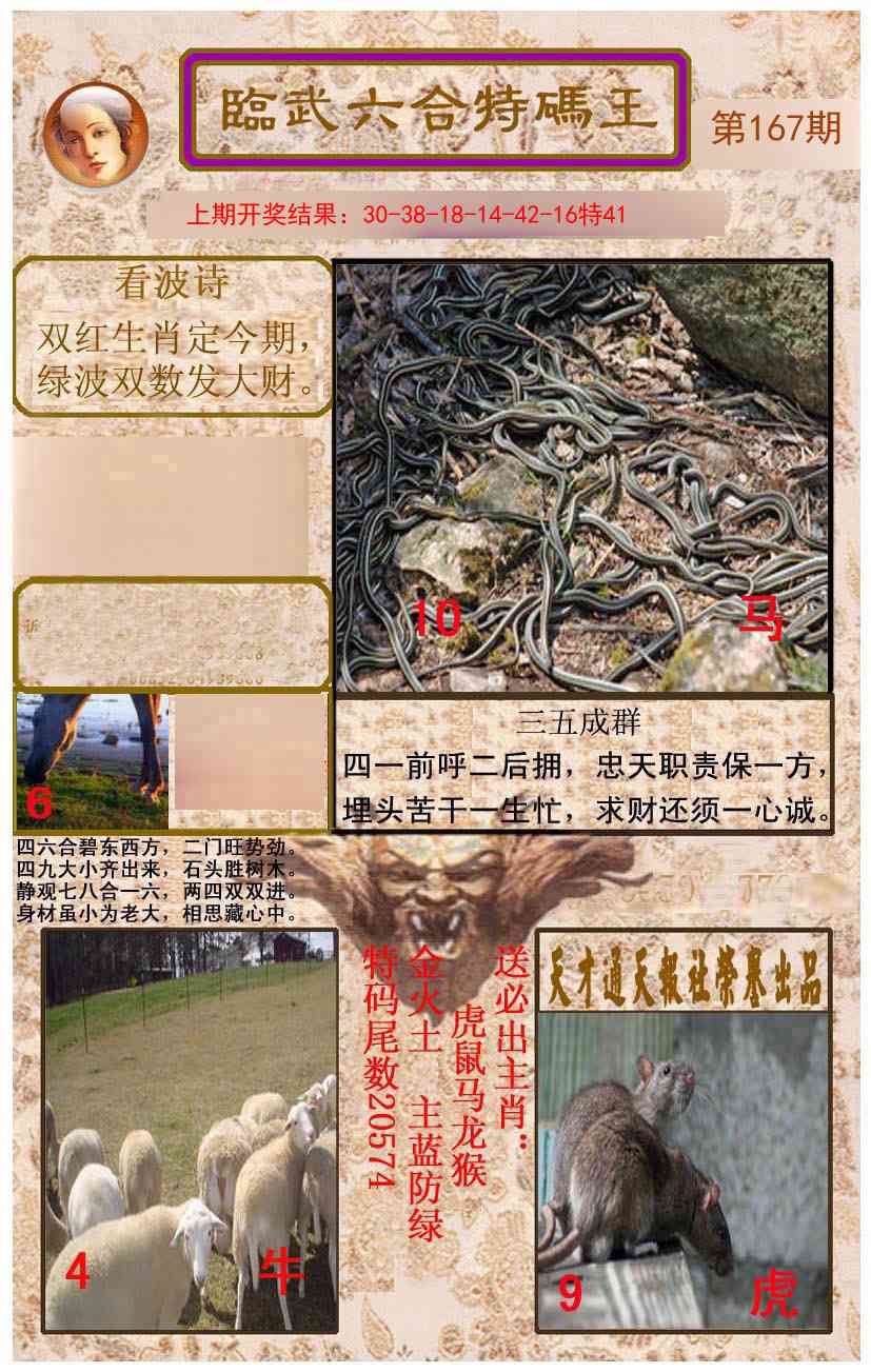 167期临武六合特码王[图]