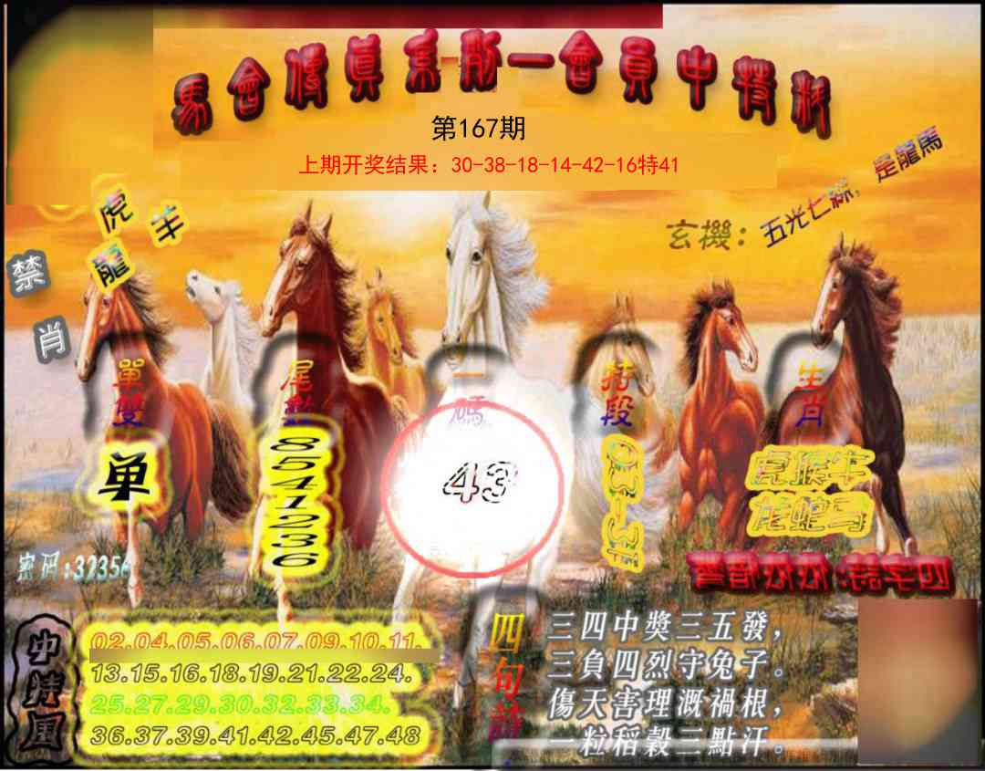 167期马会传真-会员报[图]