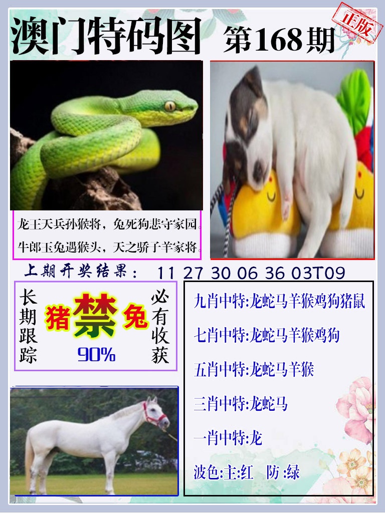 168期特码图[图]