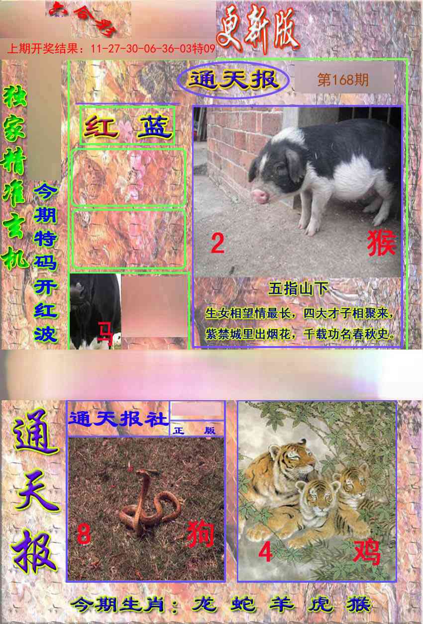 168期新通报[图]