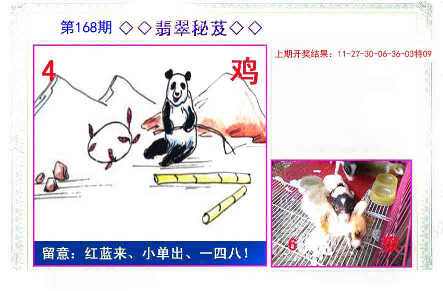 168期翡翠报[图]