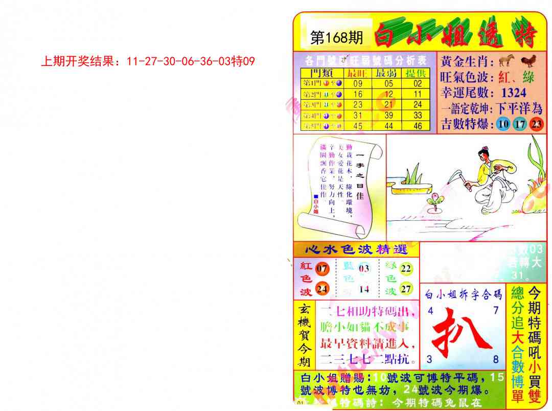 168期白小姐透特[图]