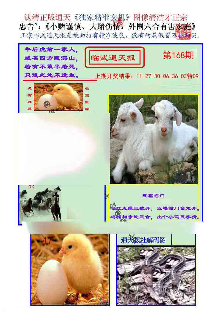 168期临武通天报[图]