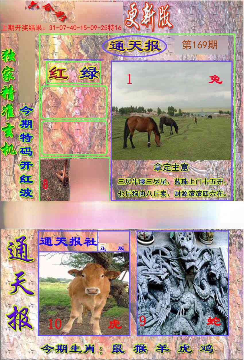 169期新通报[图]