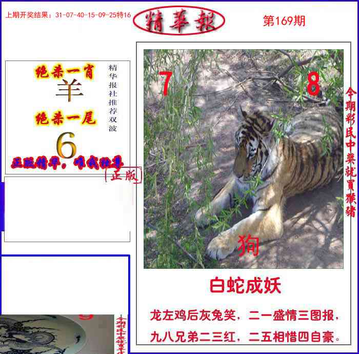 169期新精华报报[图]