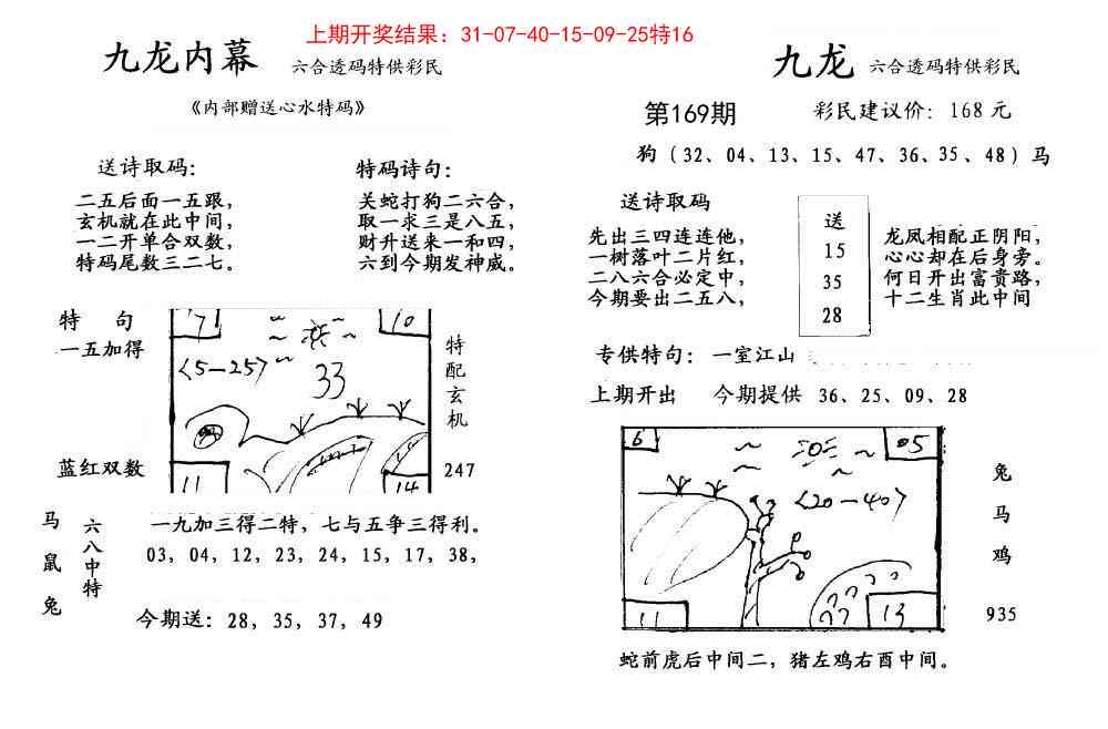 169期九龙内幕[图]