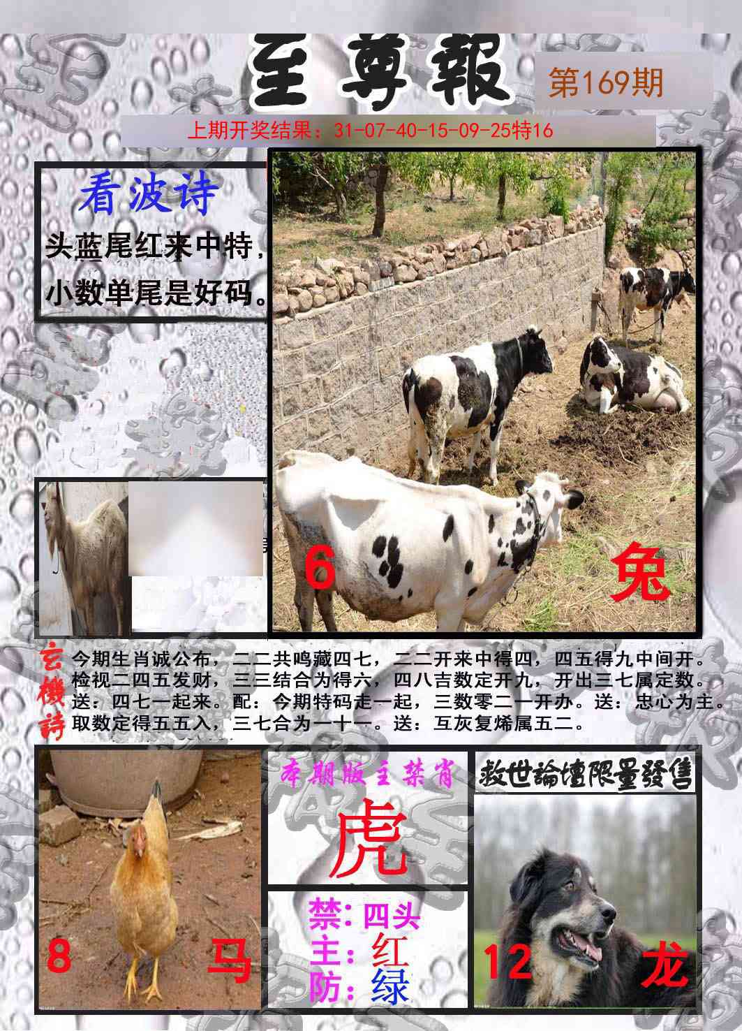 169期至尊报[图]