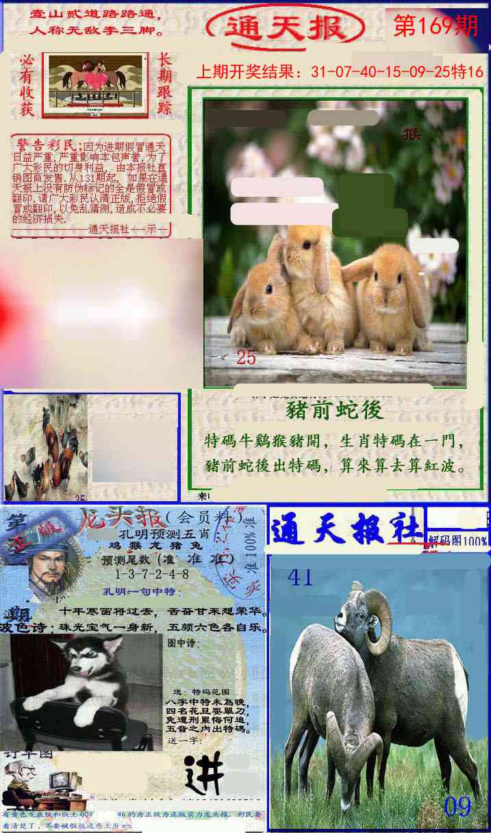 169期实力通天报[图]