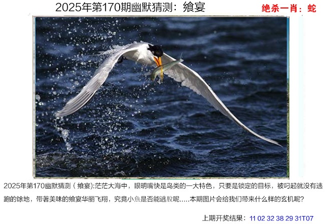 170期幽默猜测[图]