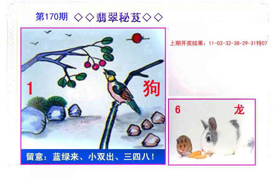 170期翡翠报[图]