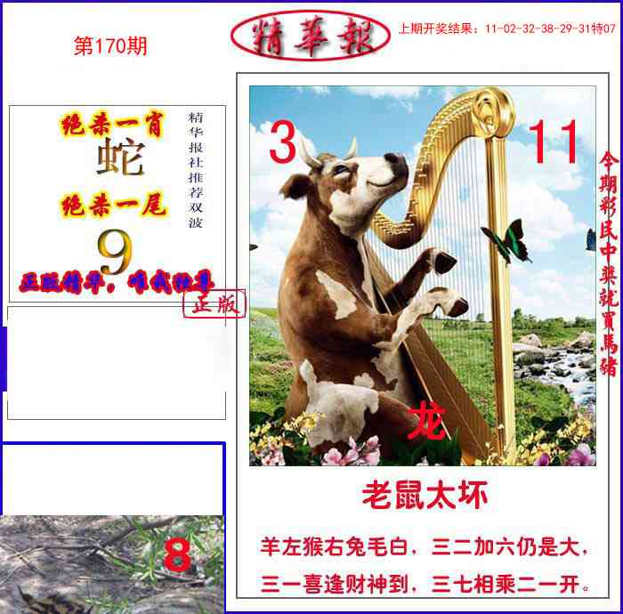 170期新精华报报[图]