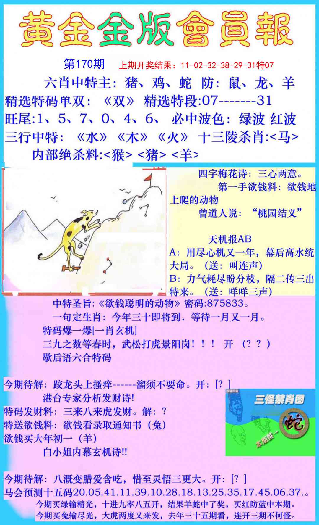 170期黄金金版会员报[图]