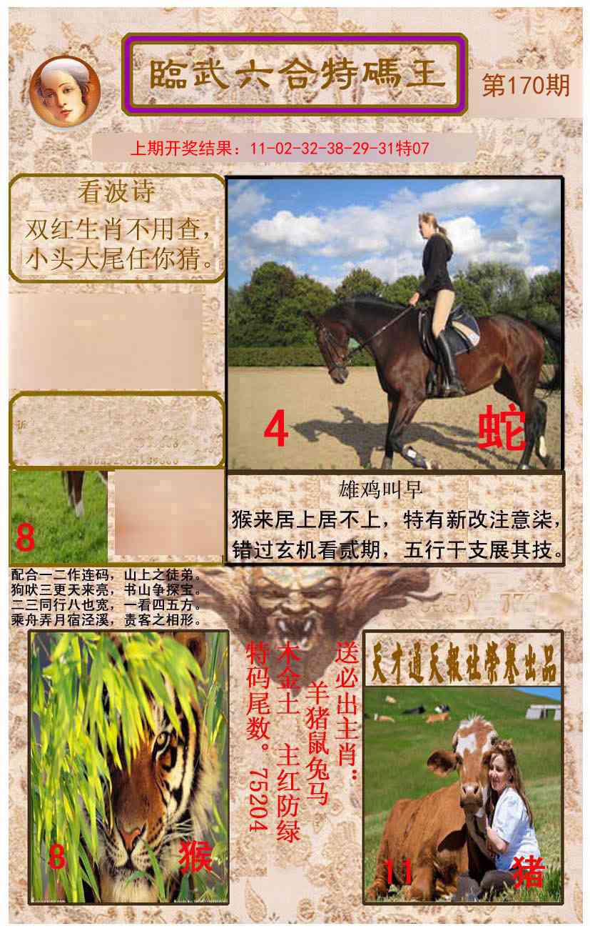 170期临武六合特码王[图]