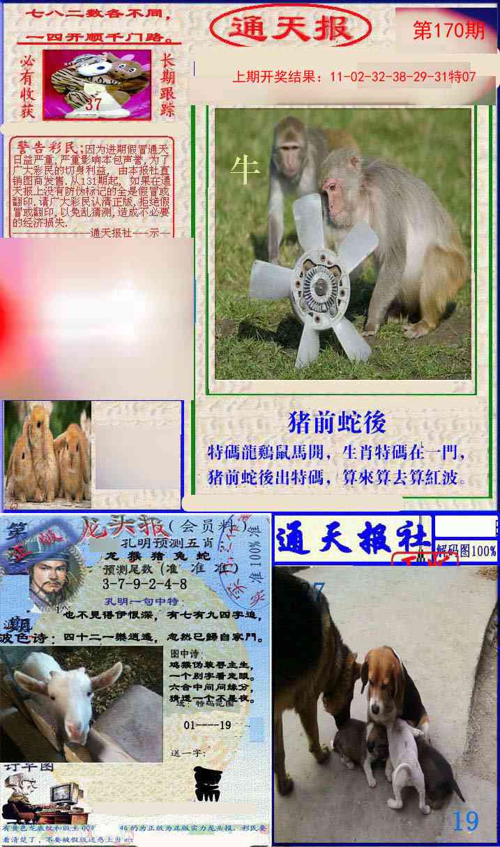 170期实力通天报[图]