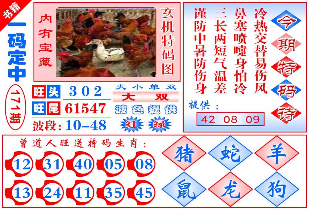 171期澳门定乾坤[图]