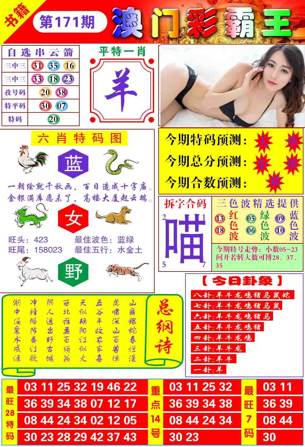 171期澳门彩霸王[图]