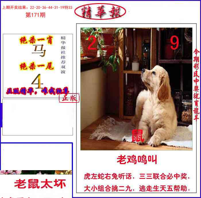 171期新精华报报[图]