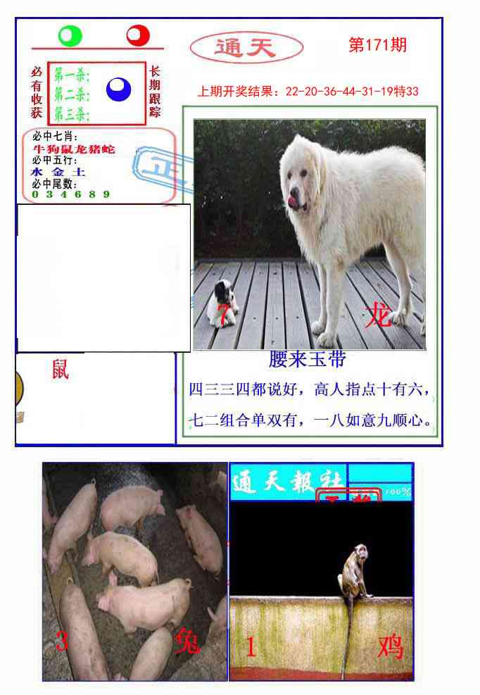 171期通天杀波图2[图]