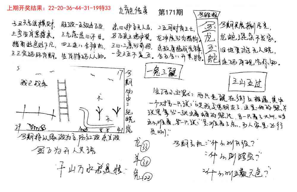 171期手写九龙内幕[图]