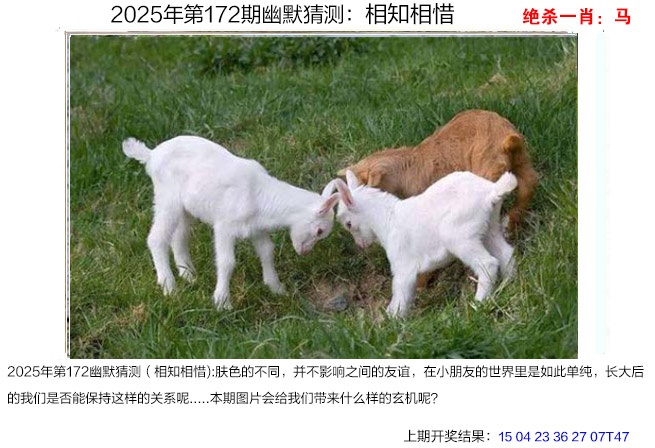 172期幽默猜测[图]