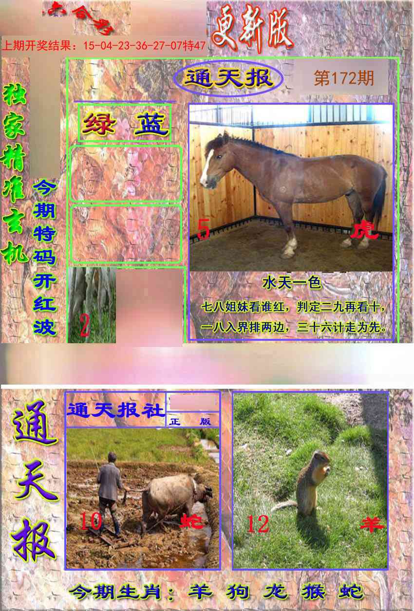 172期新通报[图]