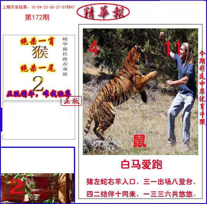 172期新精华报报[图]
