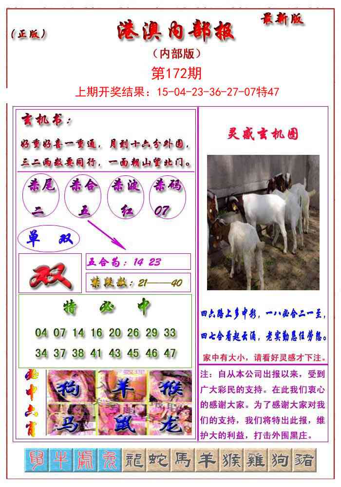 172期港澳报[图]