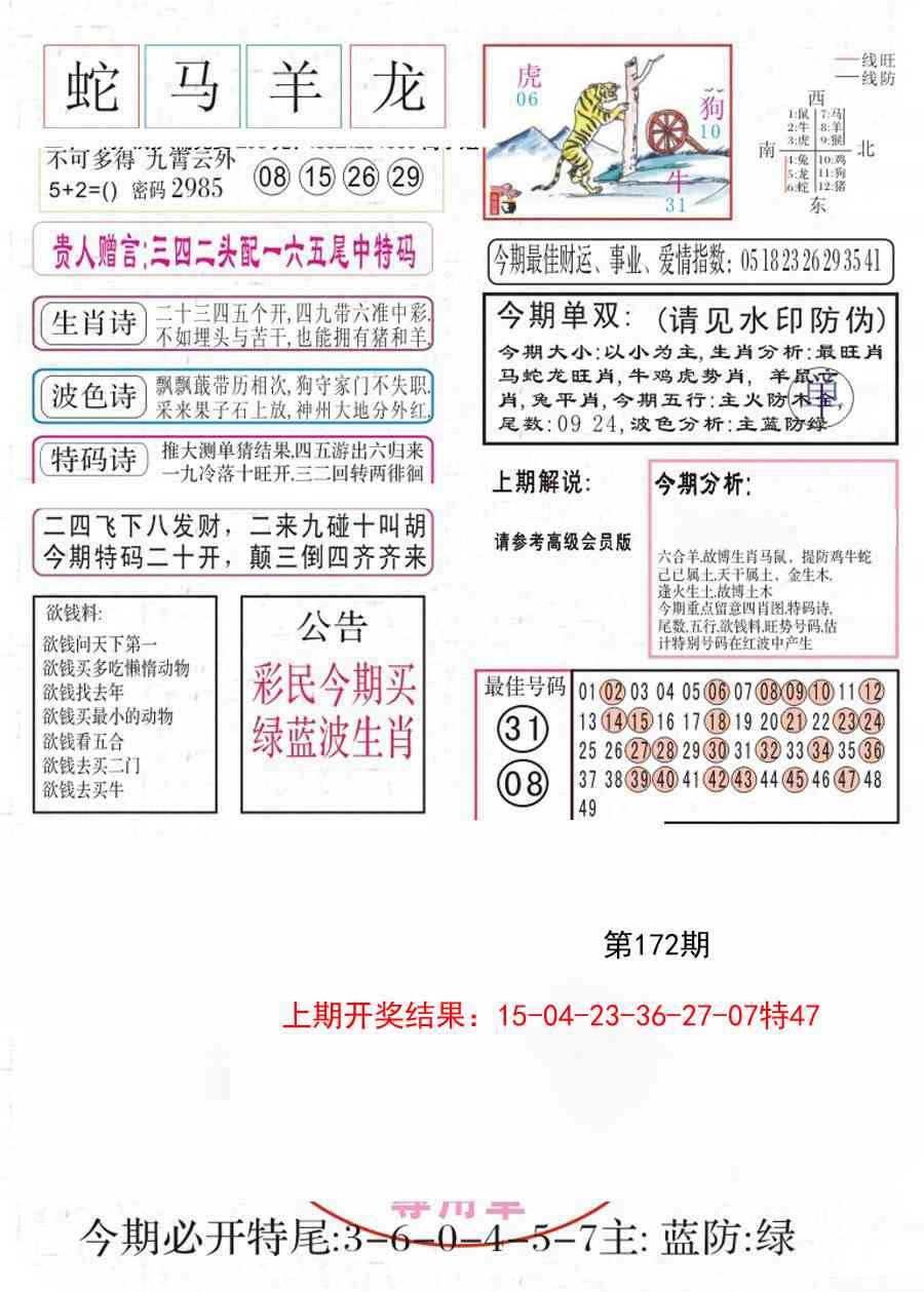 172期凤凰闲情A[图]