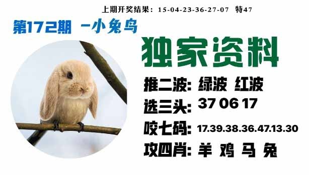 172期小兔鸟[图]