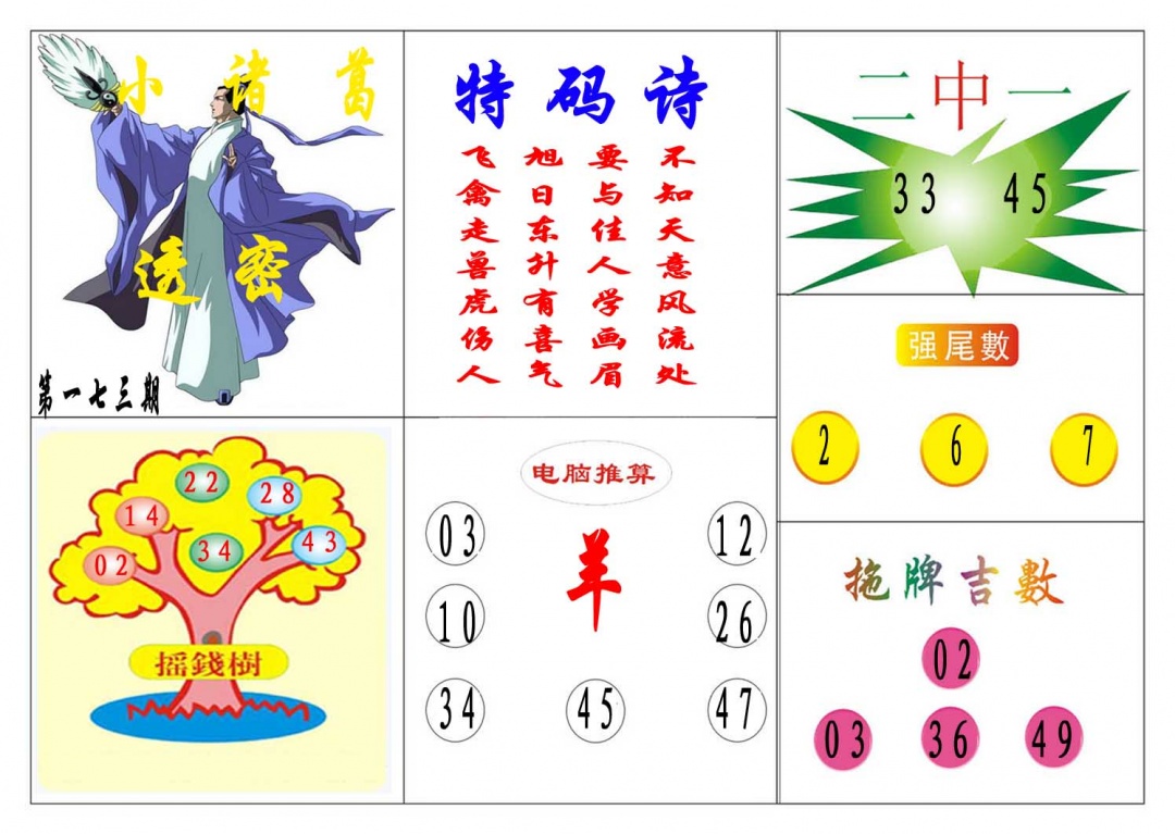 173期小诸葛[图]