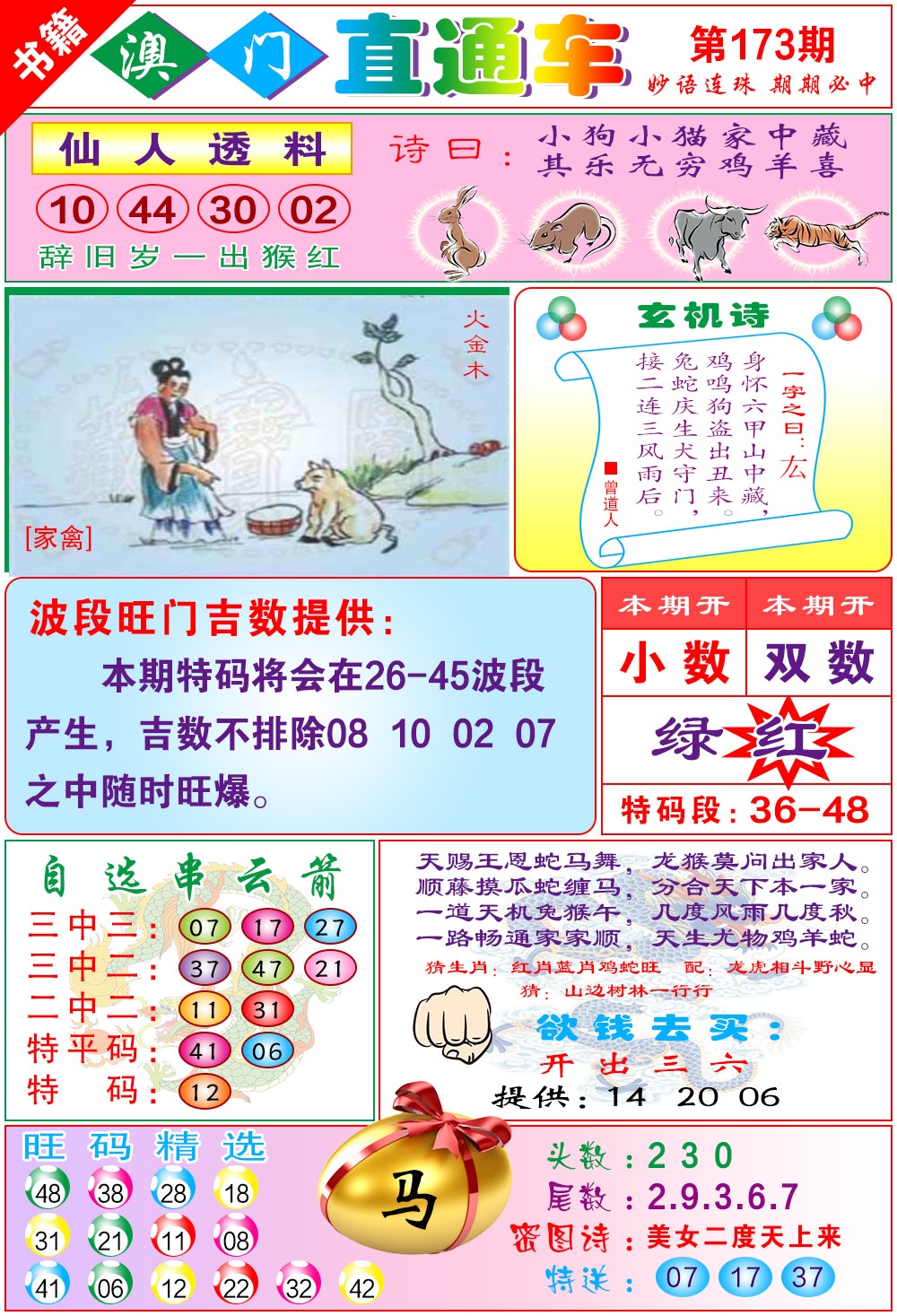 173期白姐直通车[图]