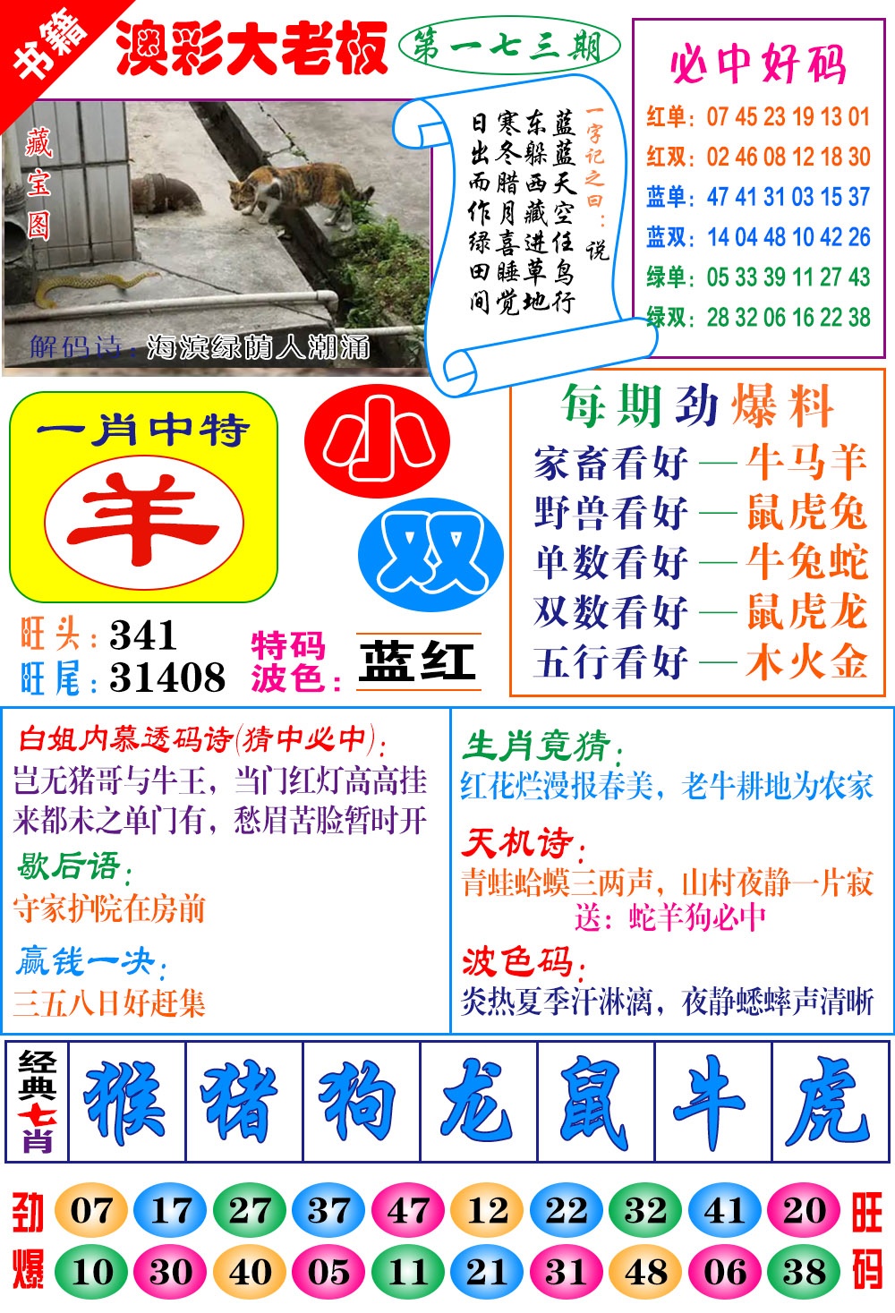 173期澳门大老板[图]