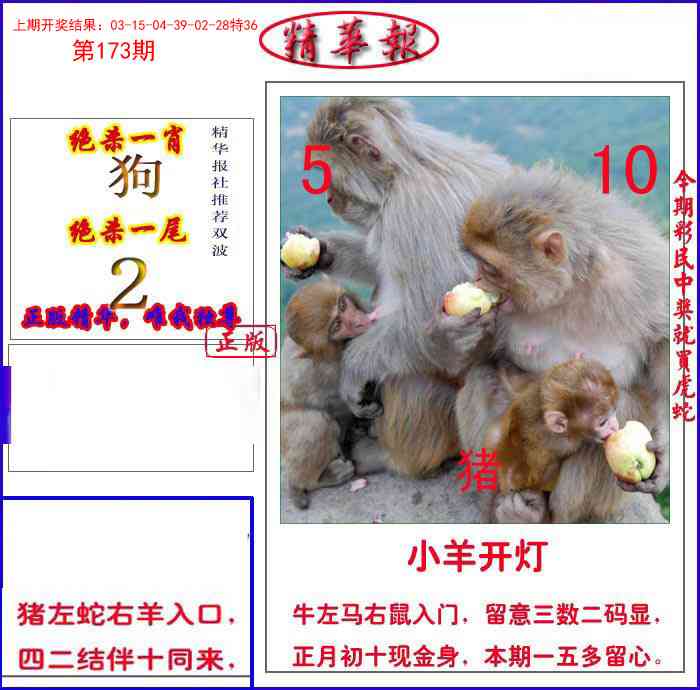 173期新精华报报[图]