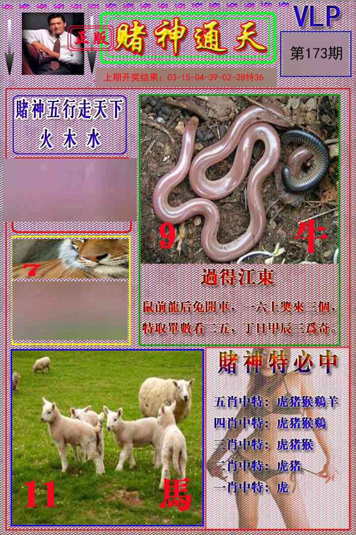 173期赌神通天报[图]