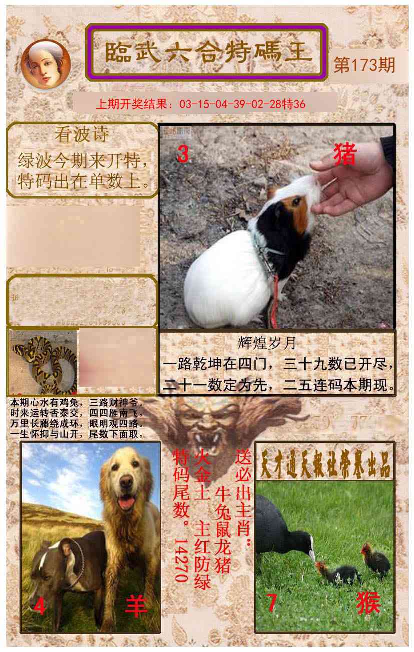 173期临武六合特码王[图]