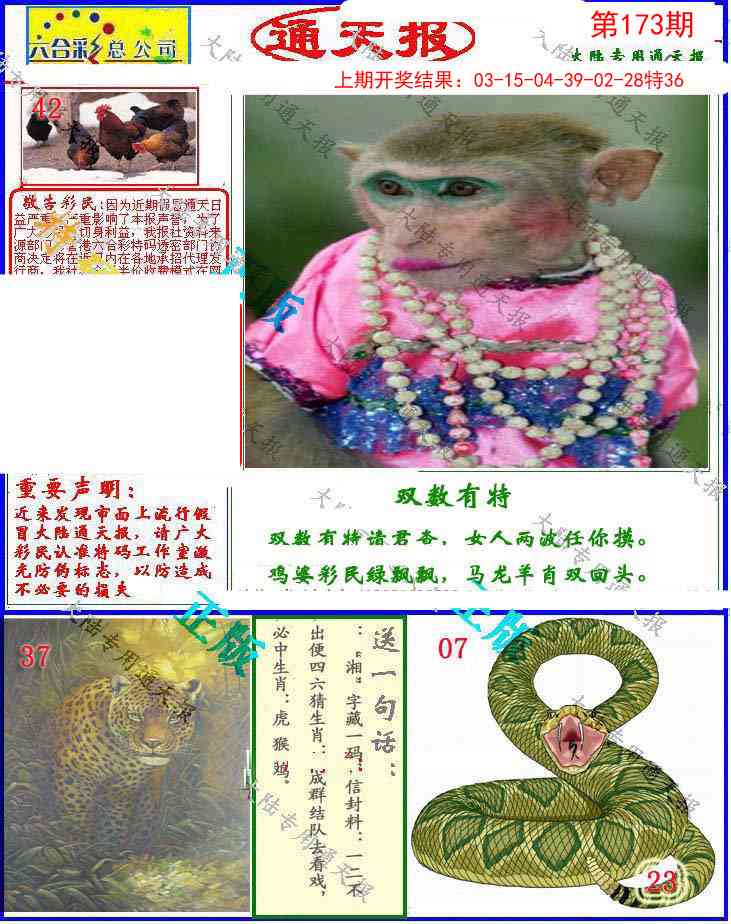 173期大陆通天报[图]