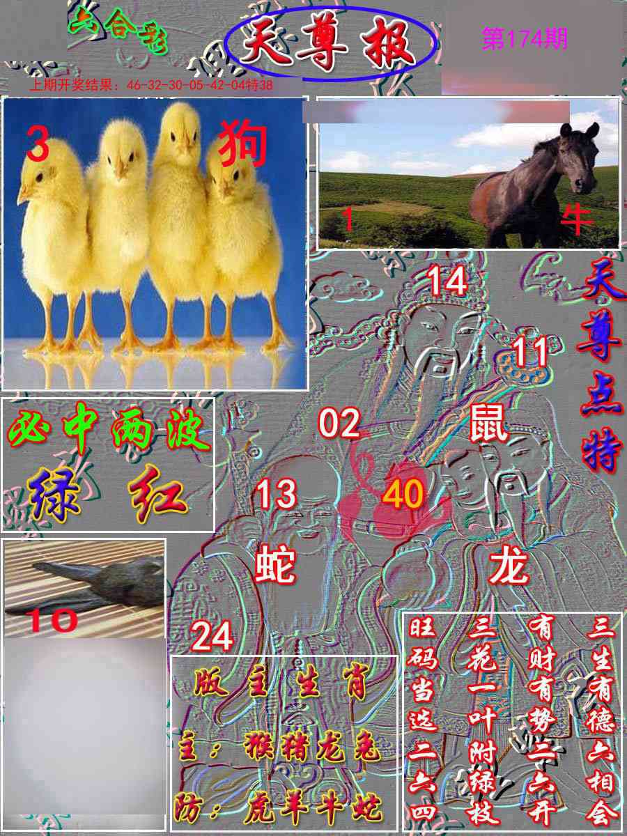 174期天尊报[图]