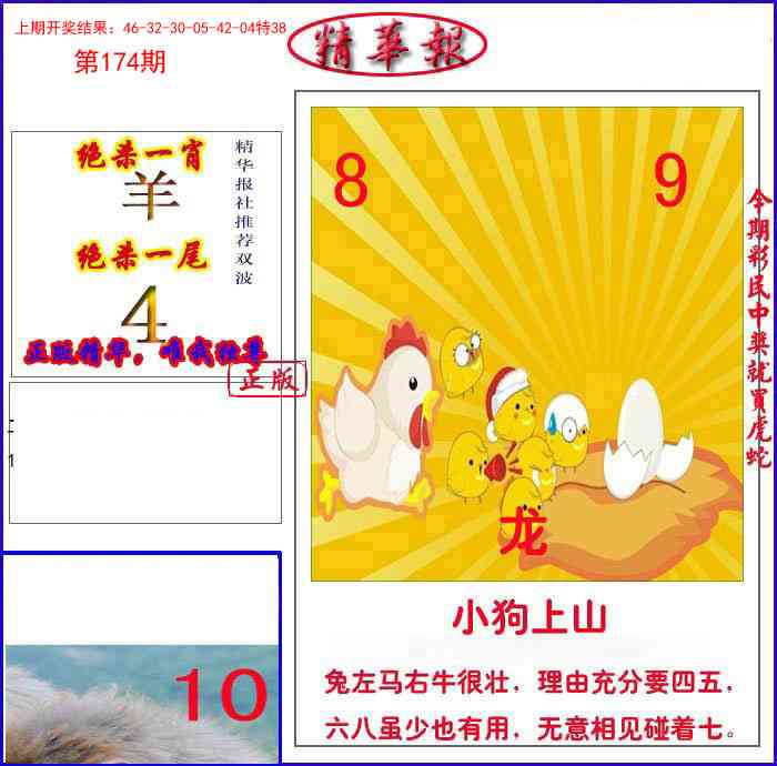 174期新精华报报[图]