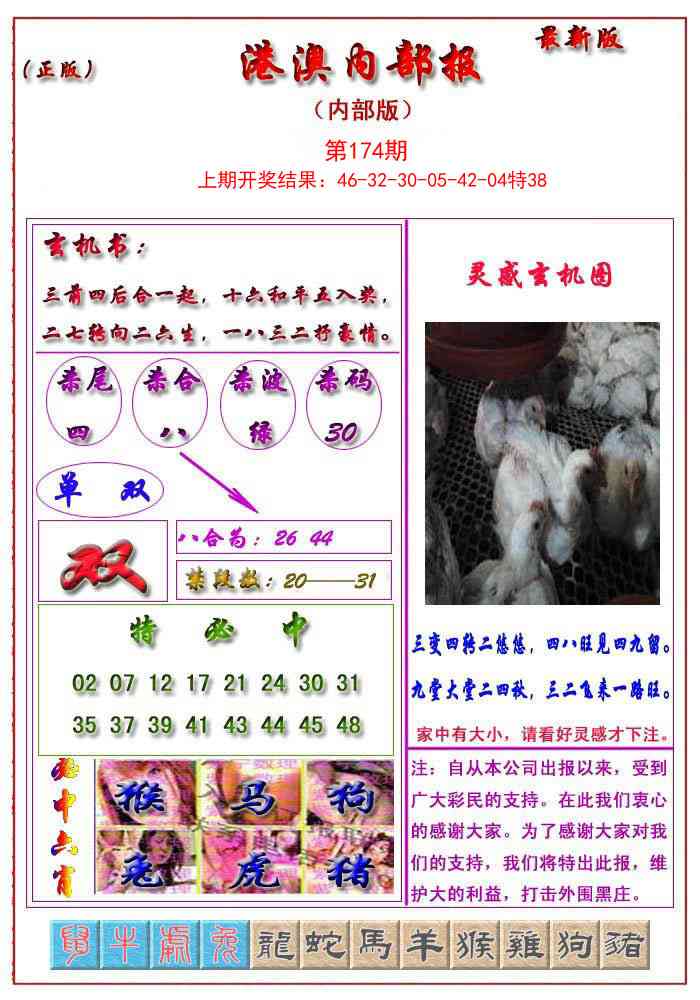 174期港澳报[图]