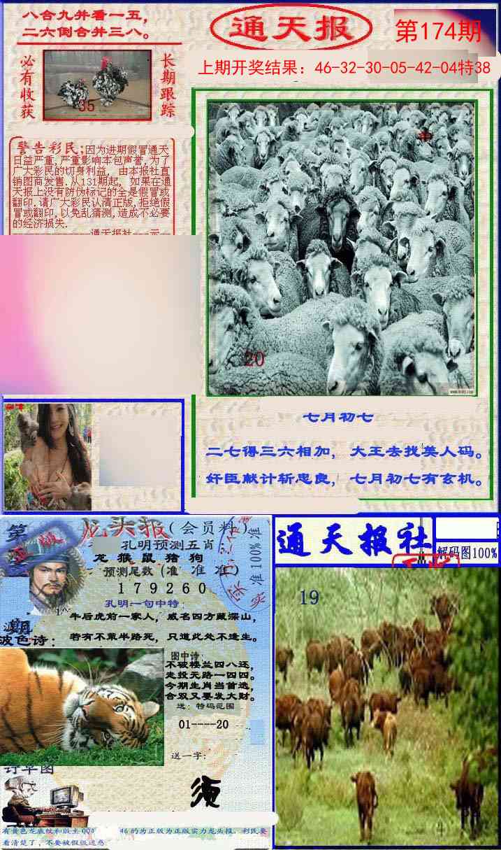 174期实力通天报[图]