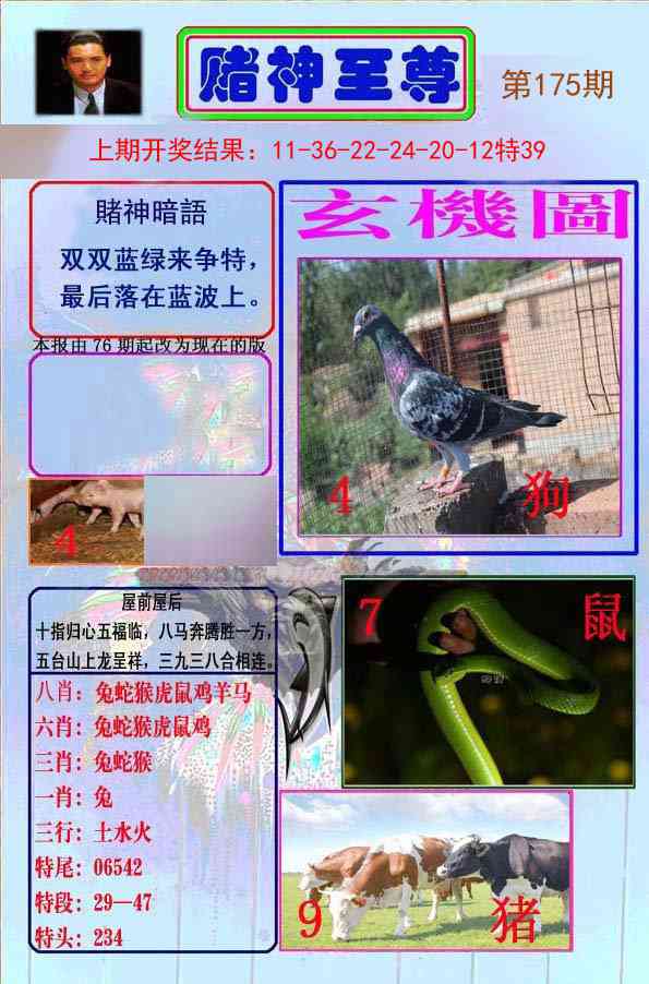 175期赌神至尊[图]