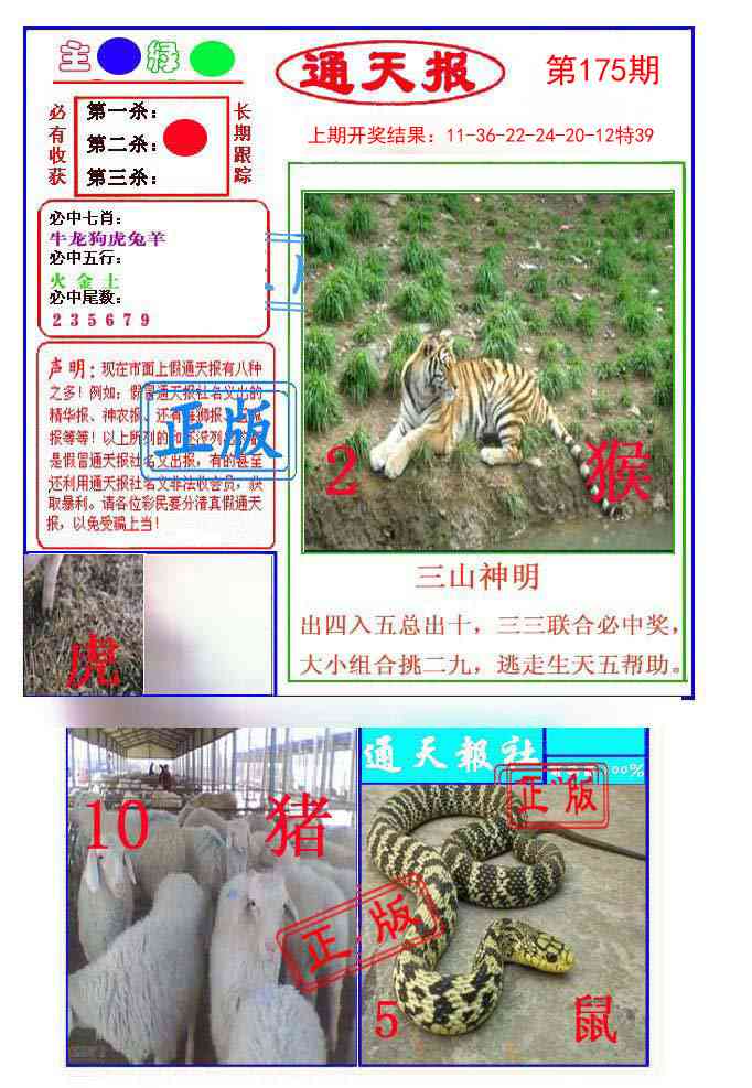 175期通天杀波图1[图]