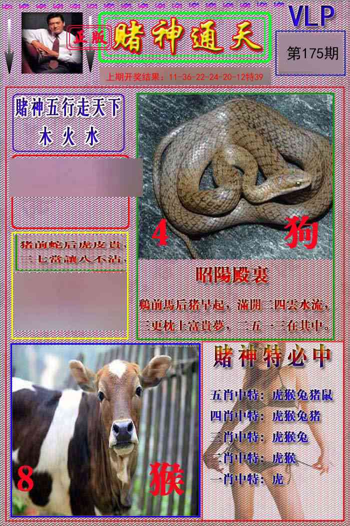 175期赌神通天报[图]