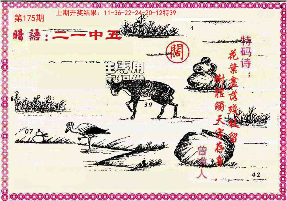 175期新暗语报[图]