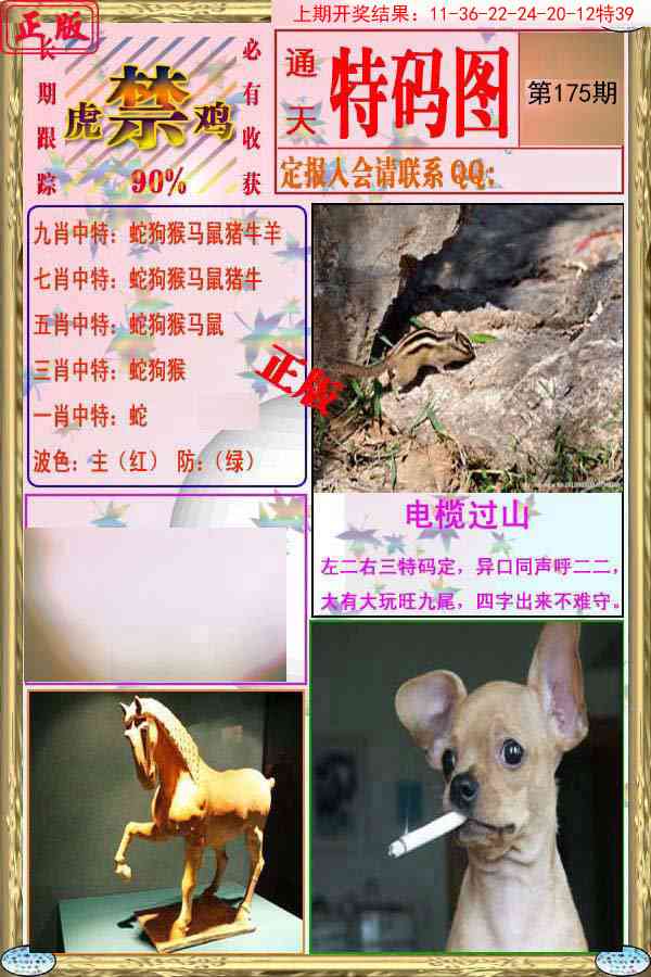 175期特码图[图]