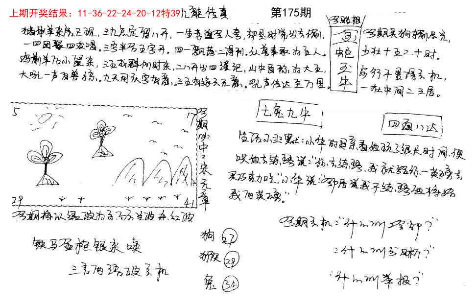 175期手写九龙内幕[图]