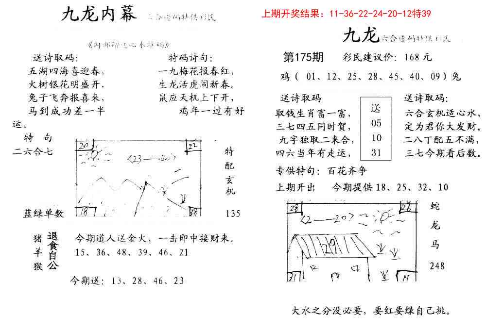 175期九龙内幕[图]